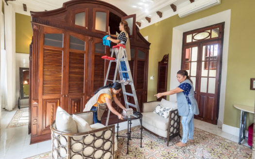 Merida Home cleaning and maintenance